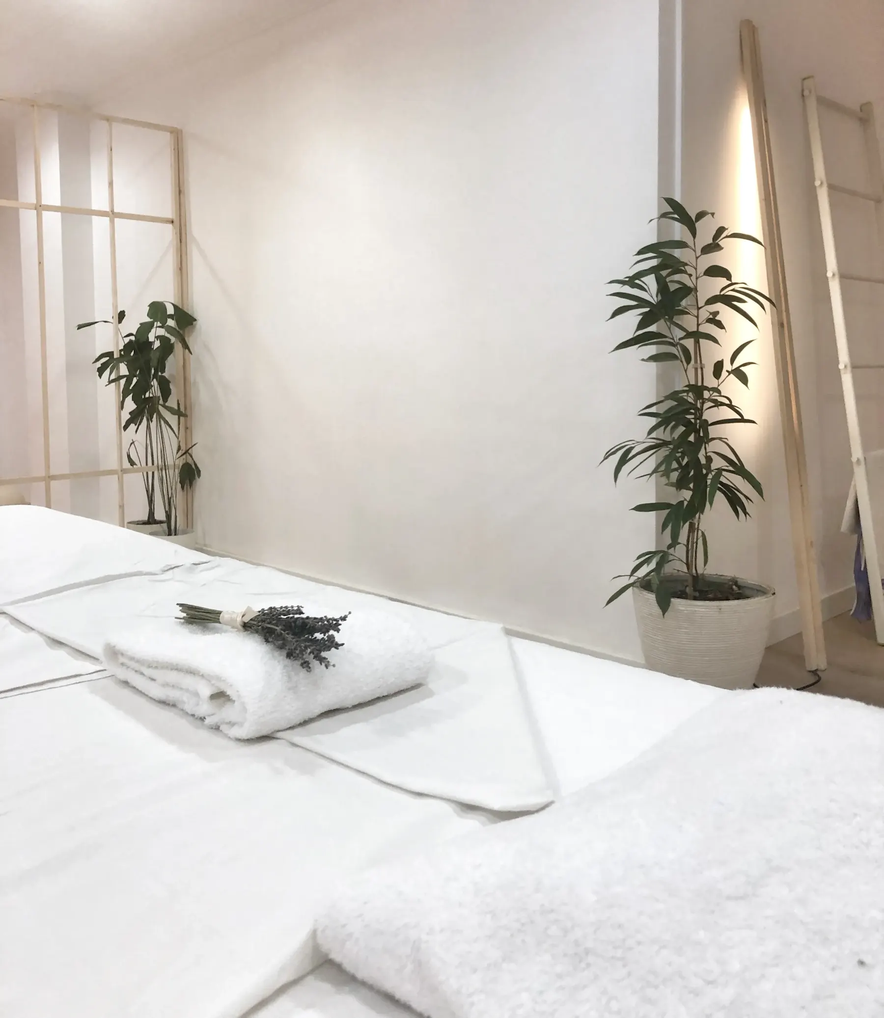 Imagen de la sala con una camilla y unas flores